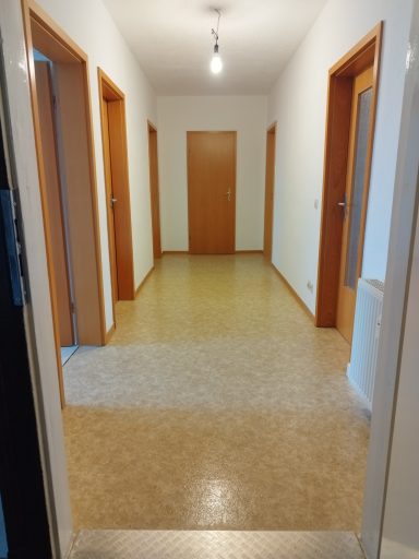 Heller Flur mit mehreren Türen und einem neutralen Bodenbelag.